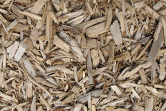 biomass boilers Markle